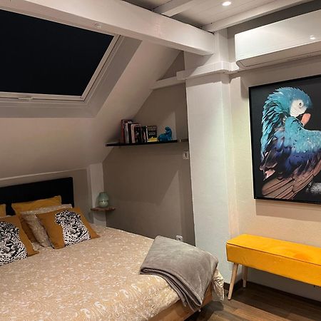 Charmant Duplex Privatise, Climatise, 2 Chambres Strasburgo Esterno foto