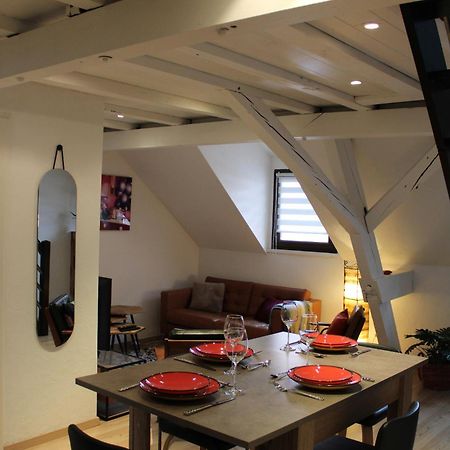Charmant Duplex Privatise, Climatise, 2 Chambres Strasburgo Esterno foto