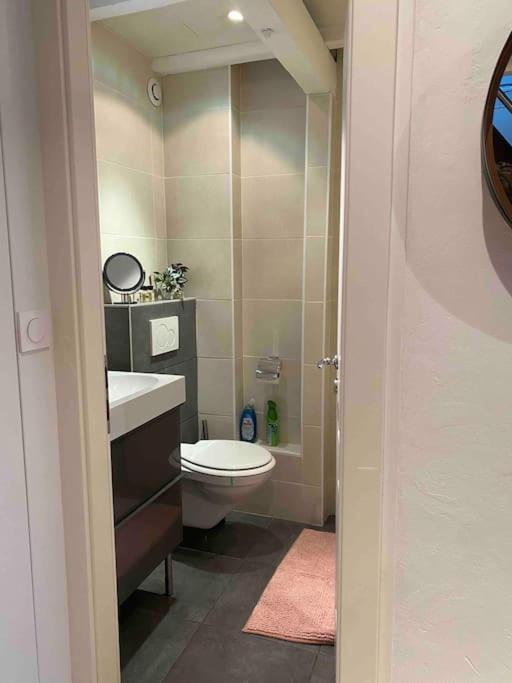 Charmant Duplex Privatise, Climatise, 2 Chambres Strasburgo Esterno foto
