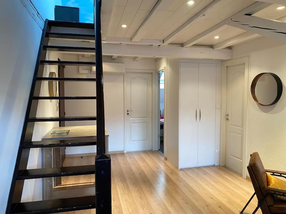 Charmant Duplex Privatise, Climatise, 2 Chambres Strasburgo Esterno foto