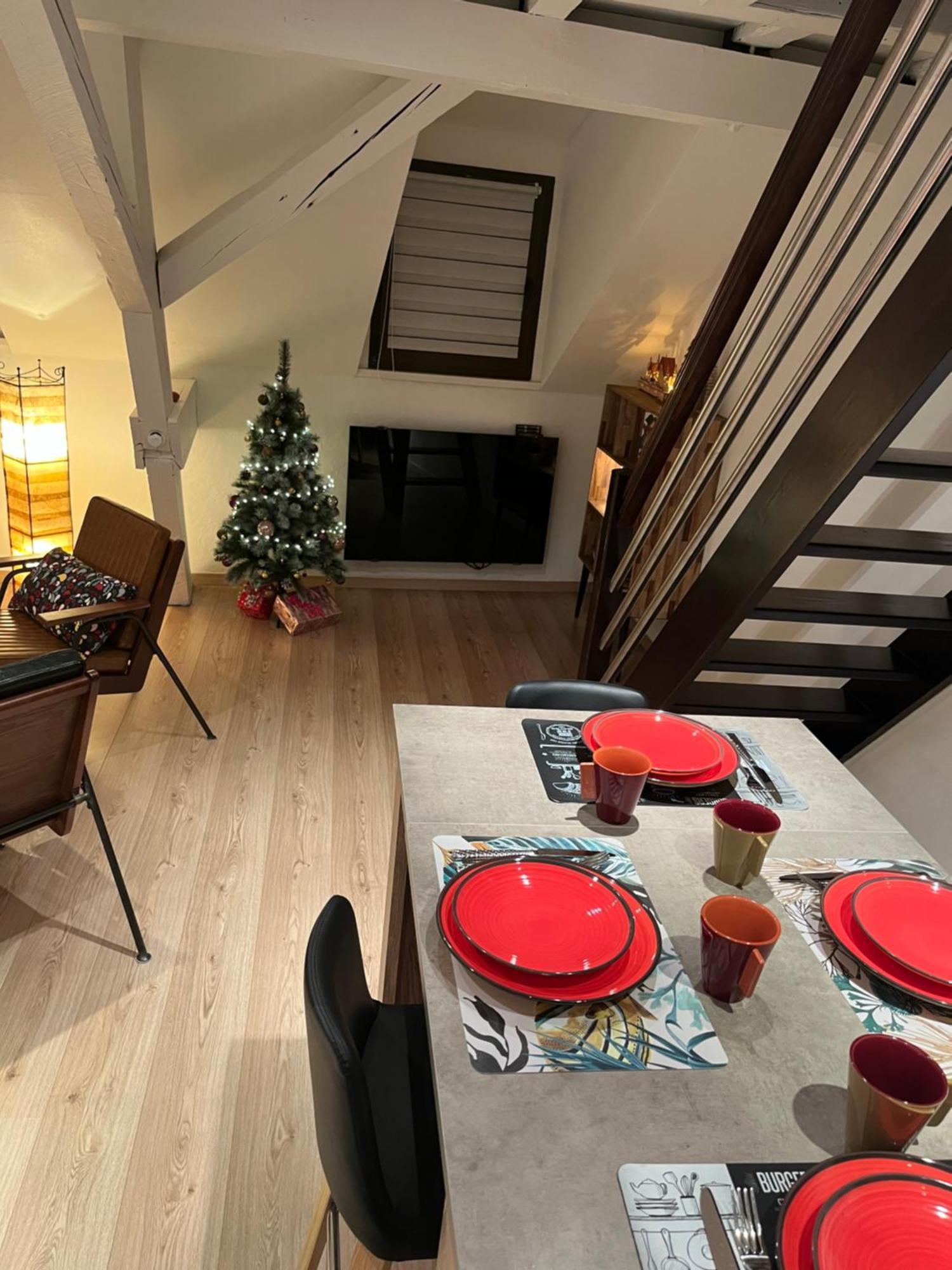 Charmant Duplex Privatise, Climatise, 2 Chambres Strasburgo Esterno foto