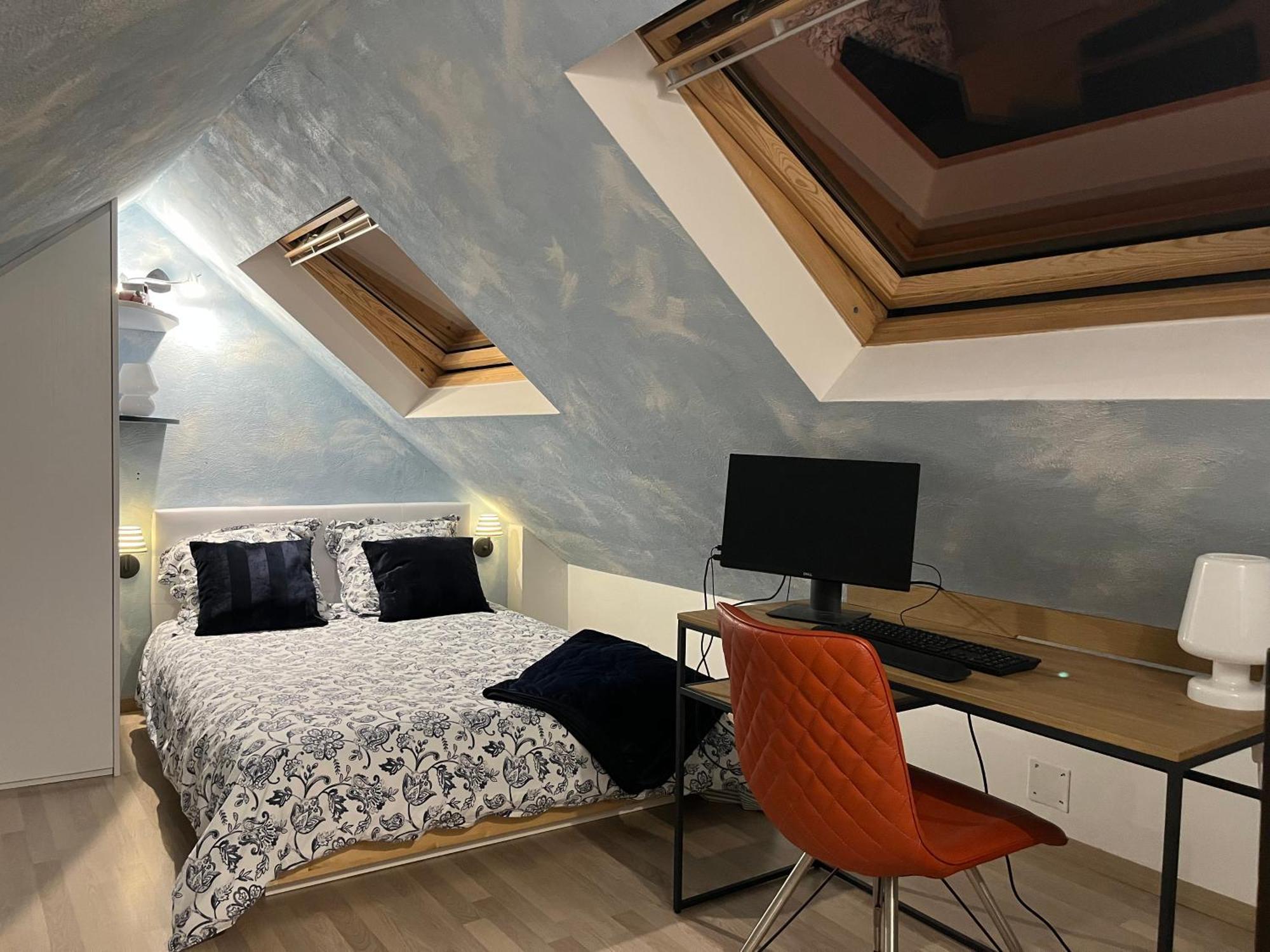Charmant Duplex Privatise, Climatise, 2 Chambres Strasburgo Esterno foto